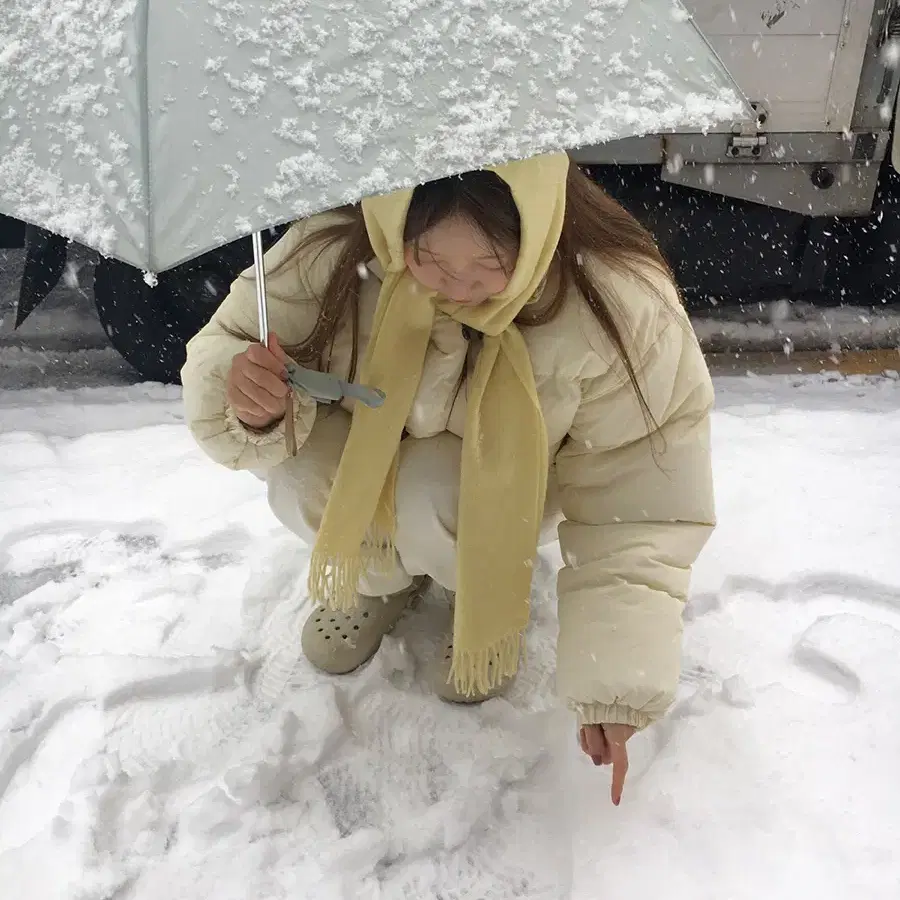 [새상품컨디션] 매니매니모드 울머플러 시에더바넷샵게드타낫시엔느낫띵리튼