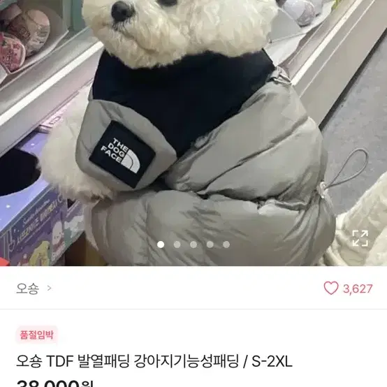 강아지패딩 노스패딩 발열패딩