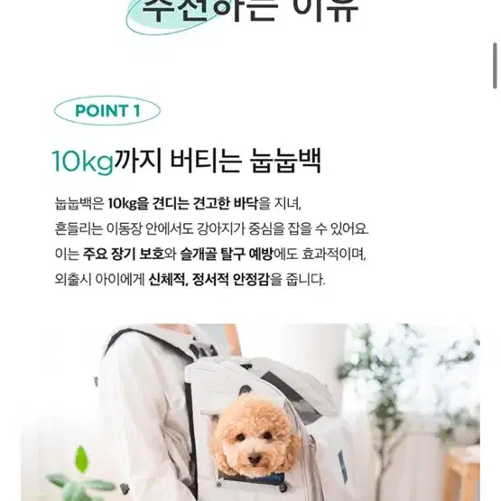 프로젝트21 눕눕백 숨숨집 고양이 이동장 강아지 이동가방