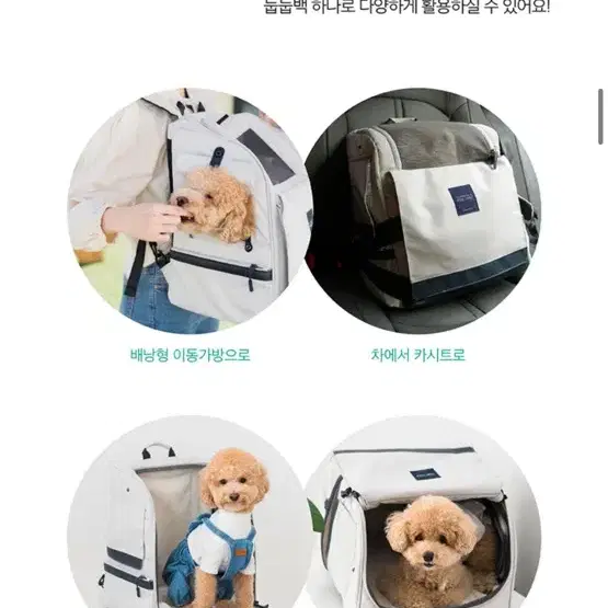 프로젝트21 눕눕백 숨숨집 고양이 이동장 강아지 이동가방