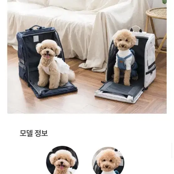 프로젝트21 눕눕백 숨숨집 고양이 이동장 강아지 이동가방