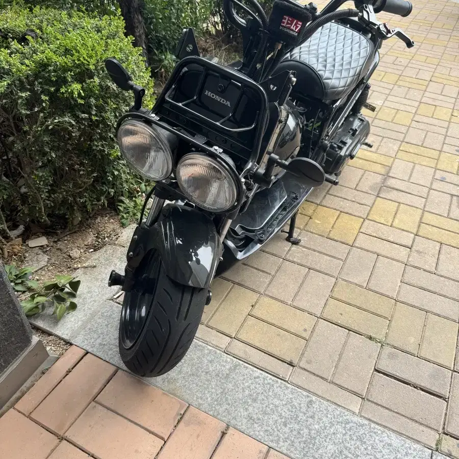 빅휠 줌머 50cc