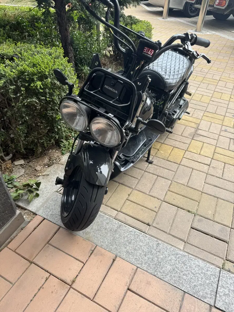 빅휠 줌머 50cc