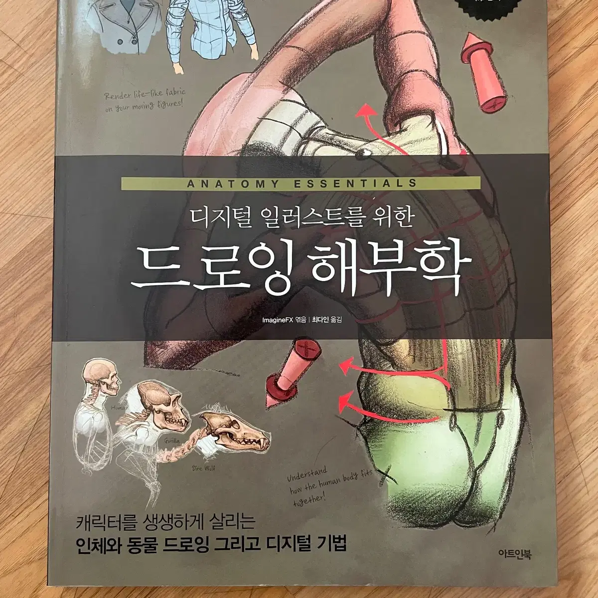 디지털 일러스트를 위한 드로잉 해부학