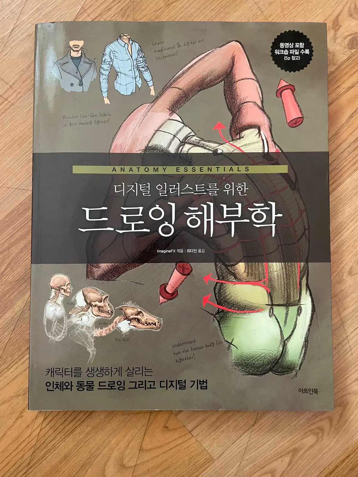 디지털 일러스트를 위한 드로잉 해부학