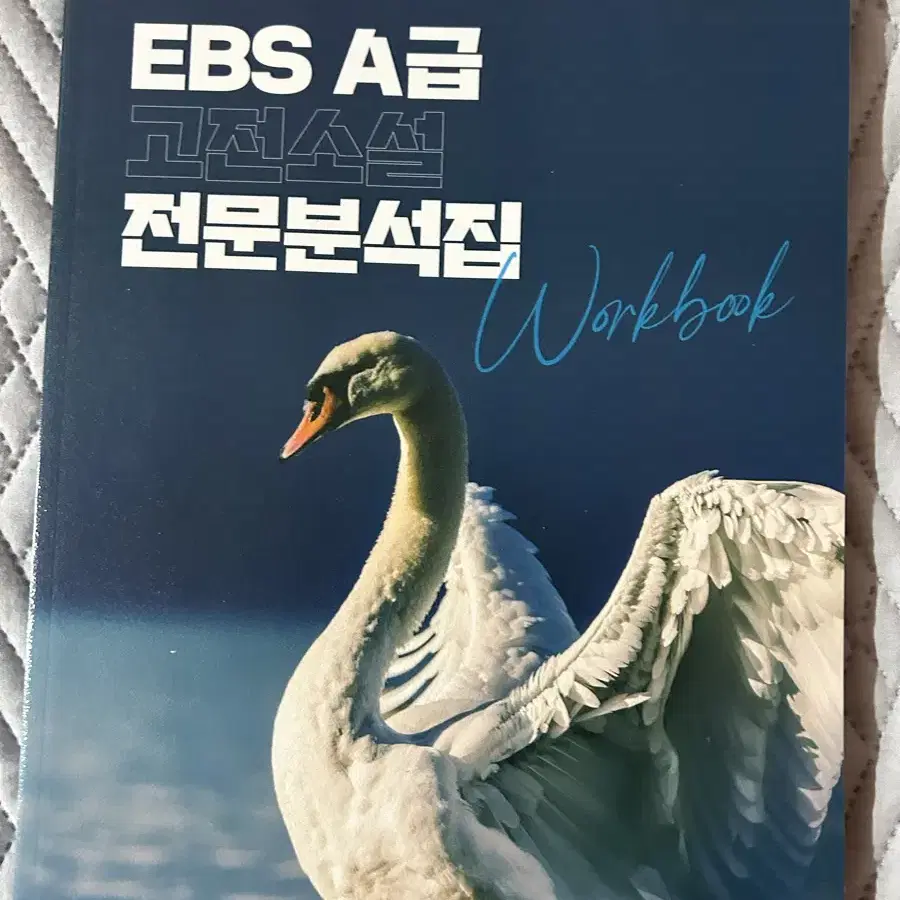 전형태 ebs 고전소설 전문분석집