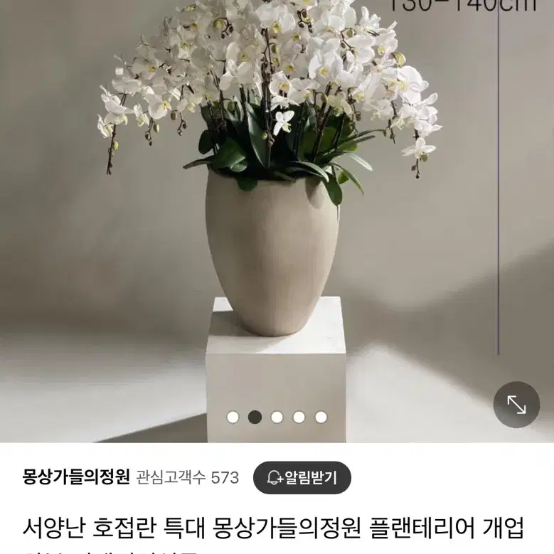 대형 고급 호접난