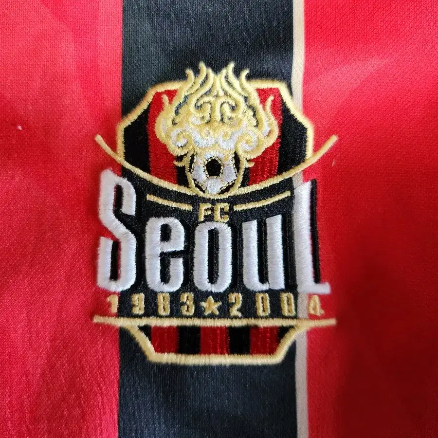 FC 서울 2013시즌 80