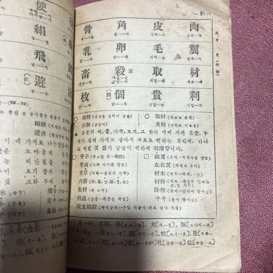 1951년 한자 교본 새천자 금룡도서주식회사