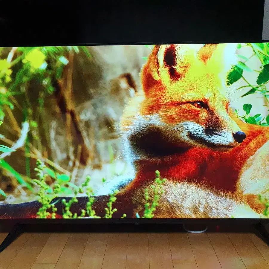 50인치 UHD 티비 모니터 UHD TV 4K HDR10 거의 새제품