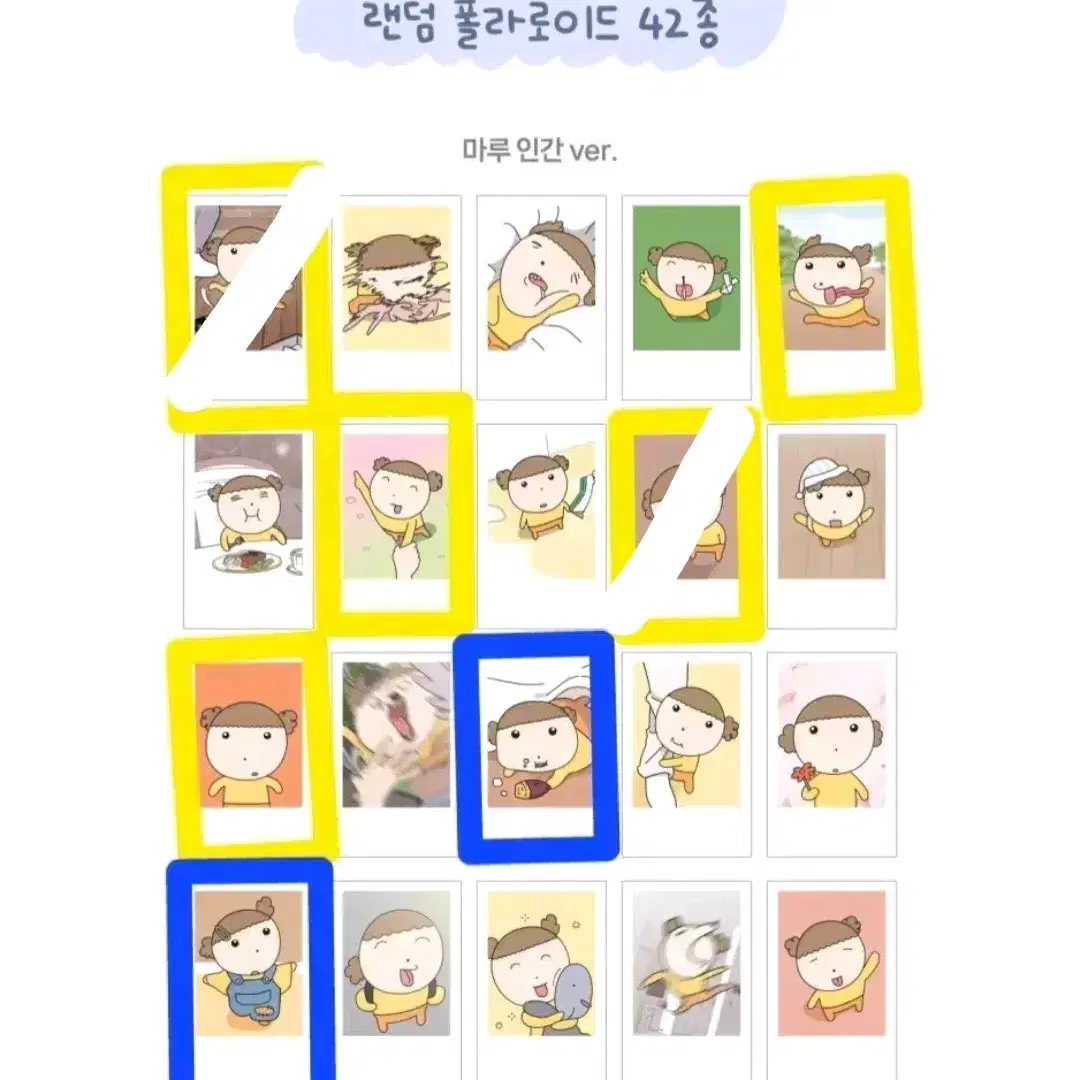 마루는 강쥐 폴라로이드 교환