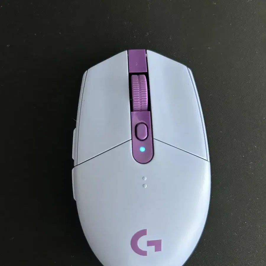 G304