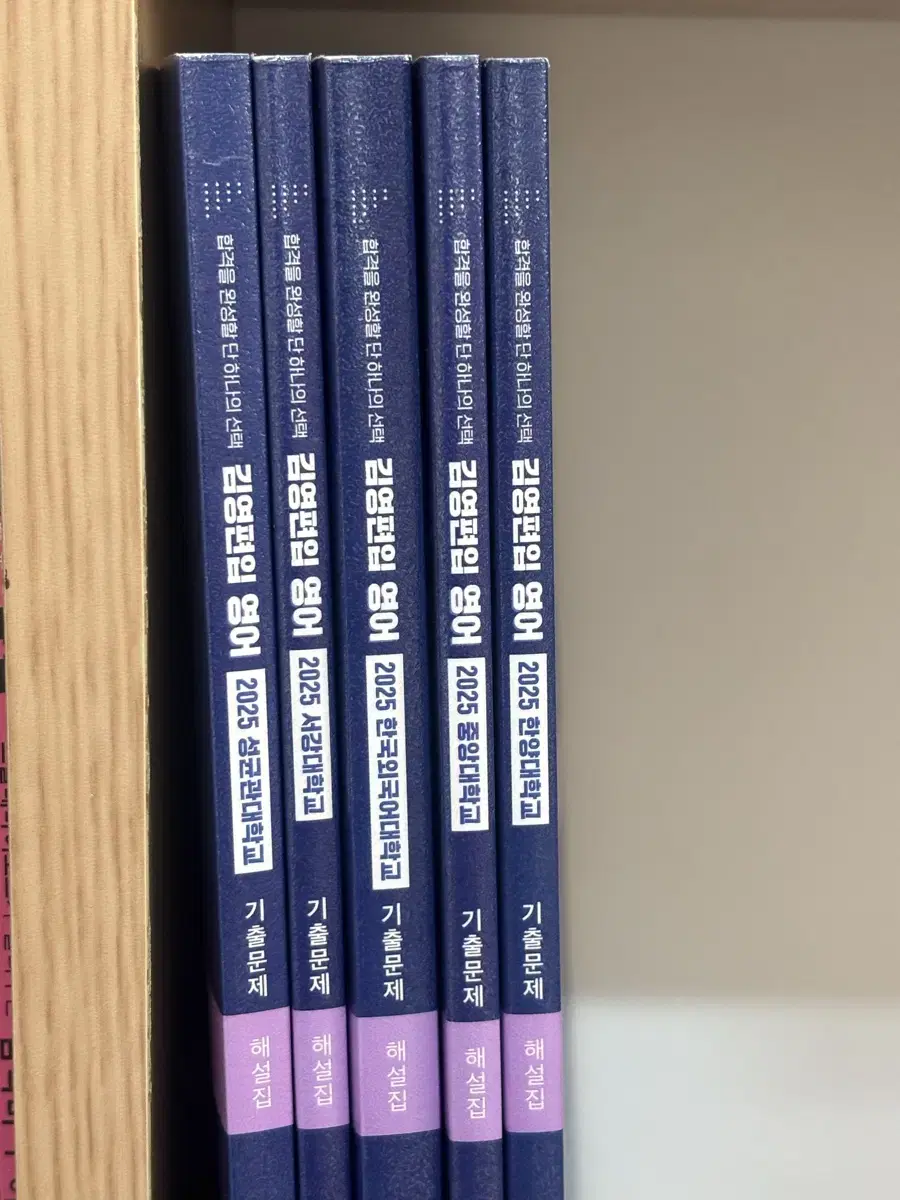 (New Product) Kim Young's Past Exam Questions Hanyang University, Chung-Ang University, Hankuk University of Foreign Studies, Sogang University, Sungkyunkwan University Explanatory Notes