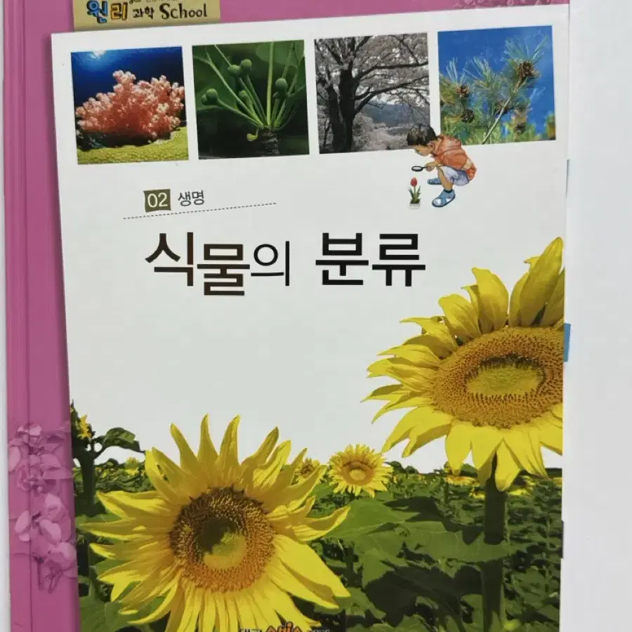 한 눈에 보는 과학 세상 원리 과학 school 40권 세트