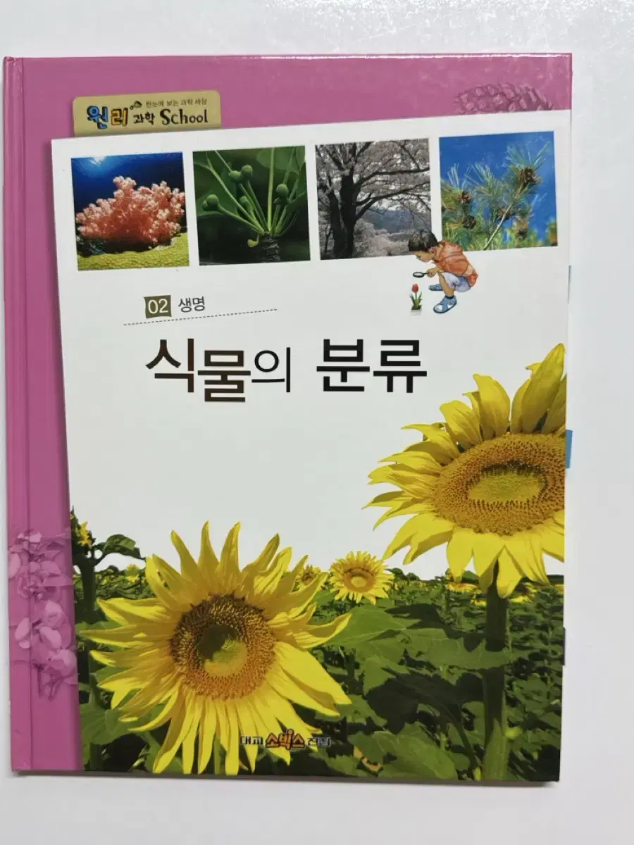 한 눈에 보는 과학 세상 원리 과학 school 40권 세트