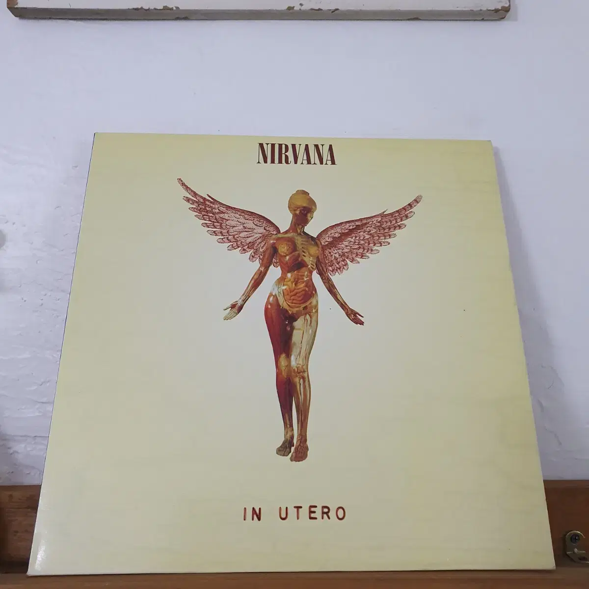 너바나  NIRVANA  LP  1993국내초반     귀한음반