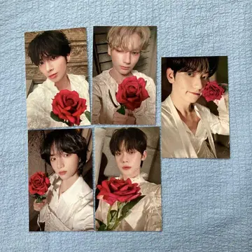 TXT 투바 사전녹음 내일은 모두 사녹 트레이딩 카드 5매 세트