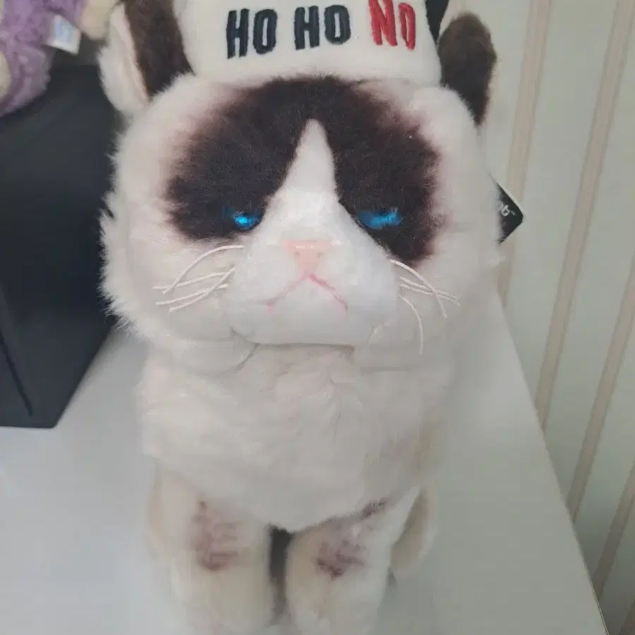 grumpy cat 고양이 인형 gund 인형