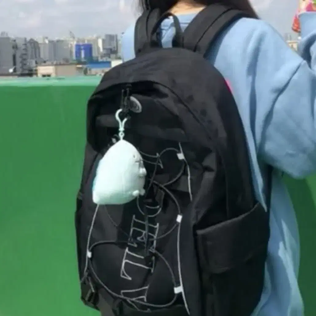 [로엘브] Flashv Back Pack