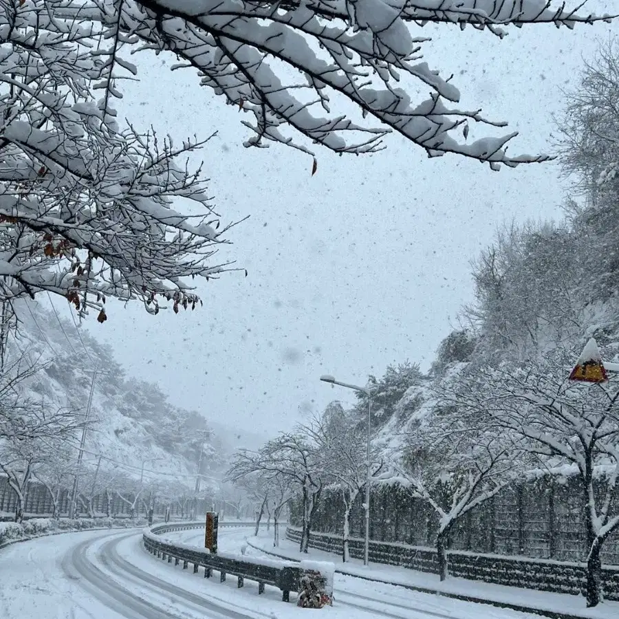 덕유산 무주 곤도라 양도해주실뷴! 1/12 7장사봐요