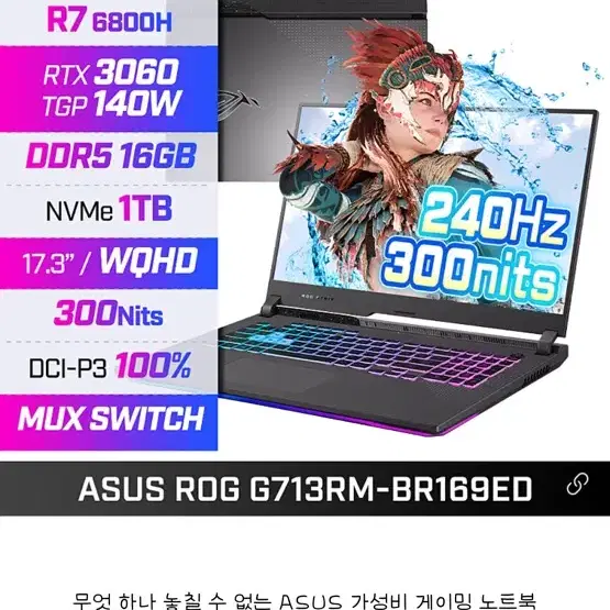 ASUS ROG STRIX G713RM-BR169ED 게이밍컴퓨터