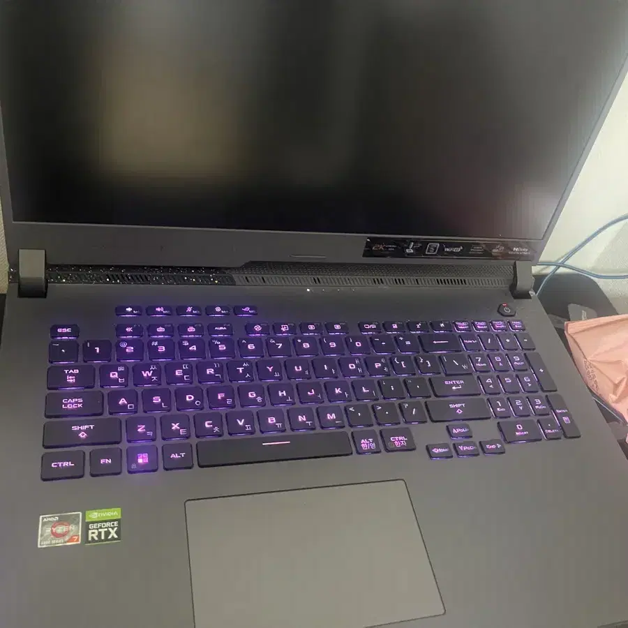 ASUS ROG STRIX G713RM-BR169ED 게이밍컴퓨터