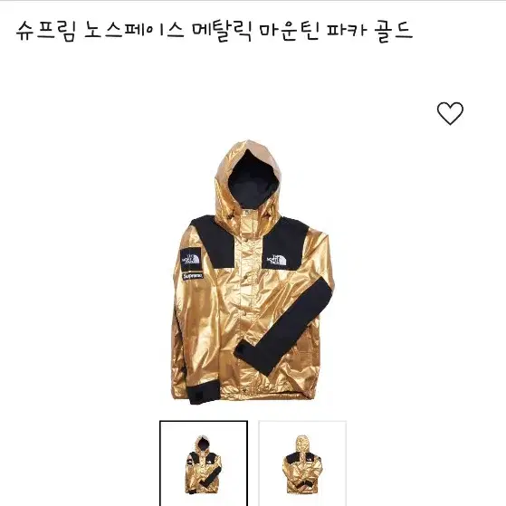 [M] 슈프림 Supreme x The North Face Metalli