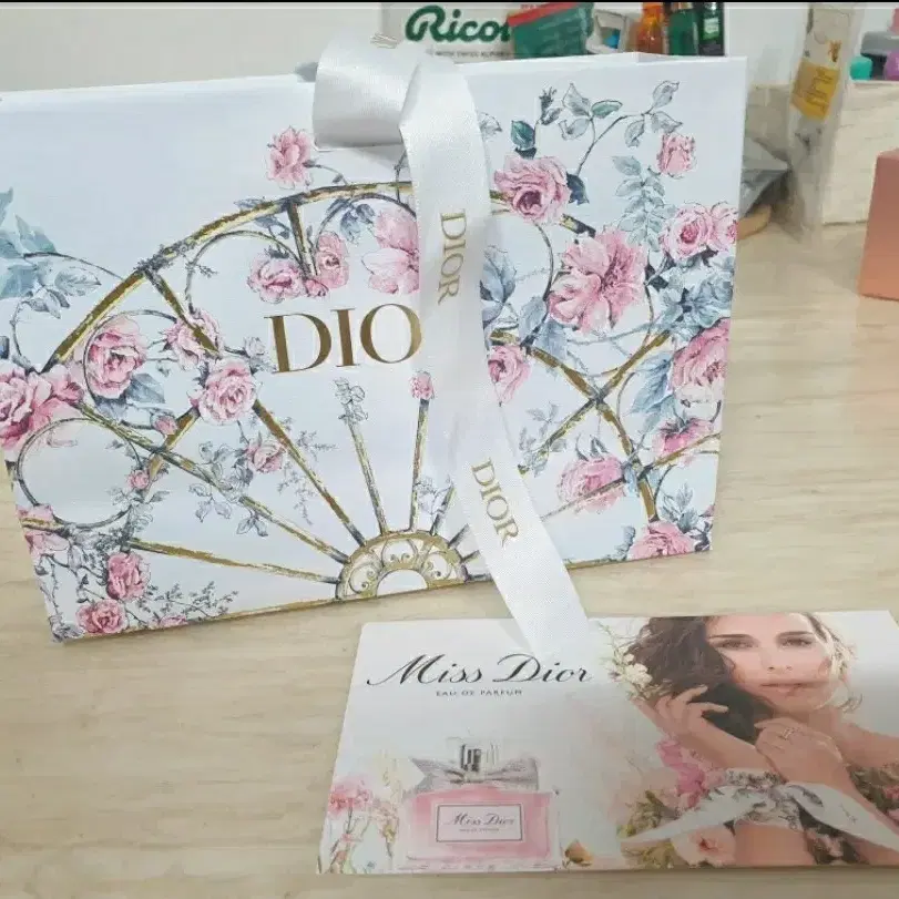 (7일만특가) DIOR 디올 쇼핑백