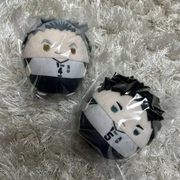 하이큐 !! 후와코로린 부엉이골 학원 목토끼 빨간색 갈대