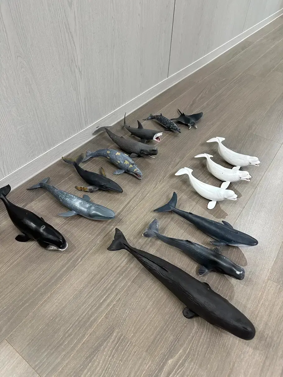 Marine animal figure CollectA