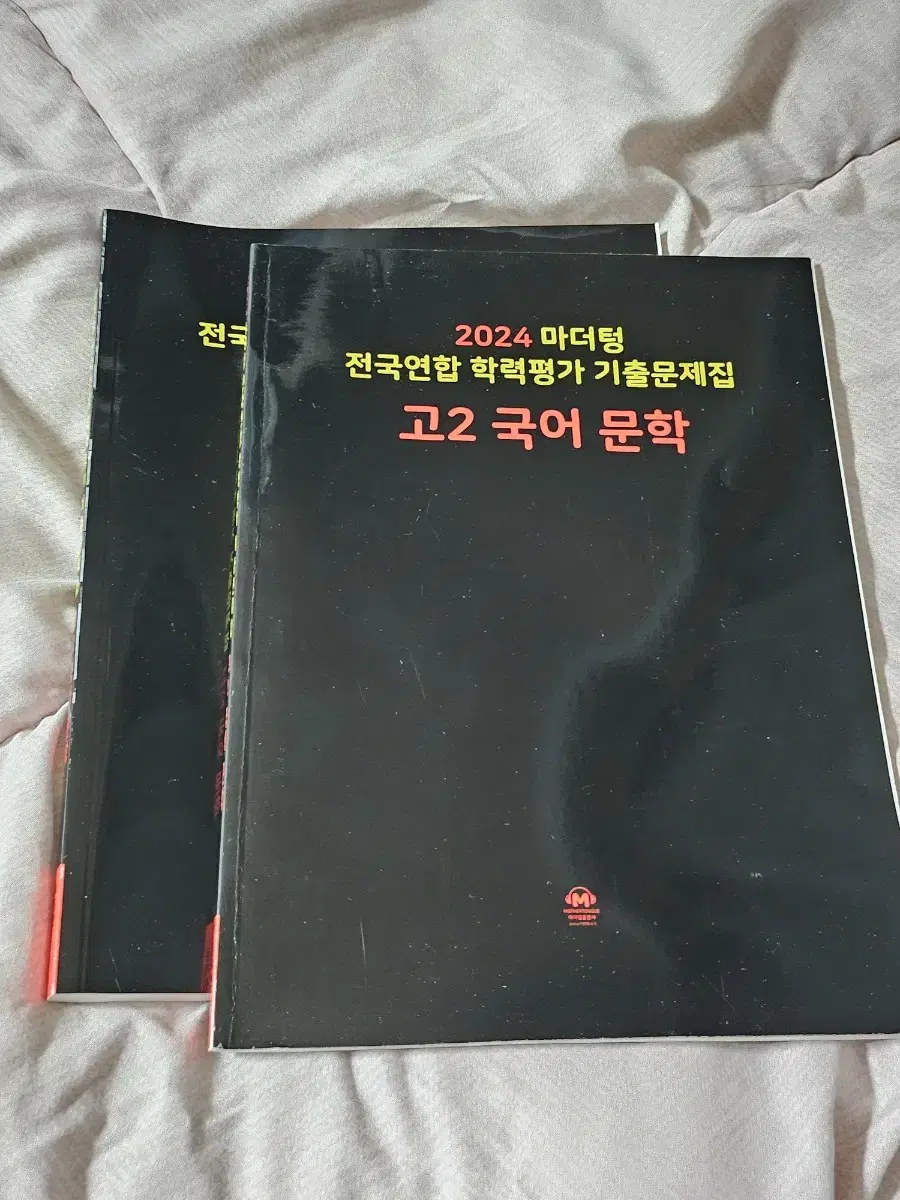 마더텅 고2문학