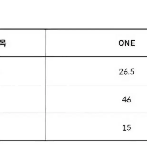 노스페이스 숄더 패딩백