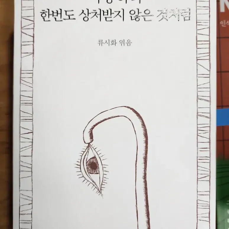 흑뢰성, 류시화, 이문재, 문학동네시인선 및 창비 시집, 소설 등 판매