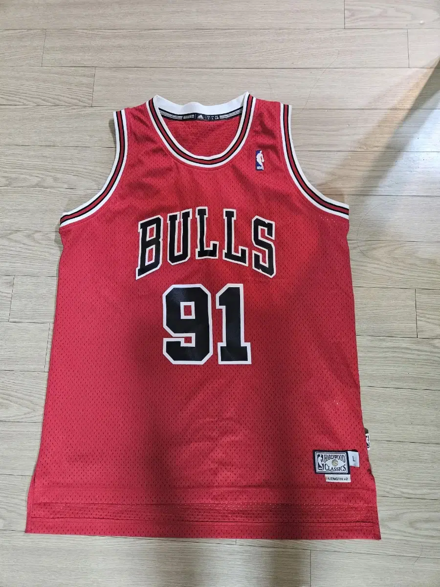 Adidas Dennis Rodman Bulls