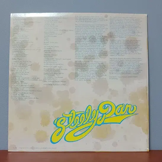 Steely Dan " Do It Again "