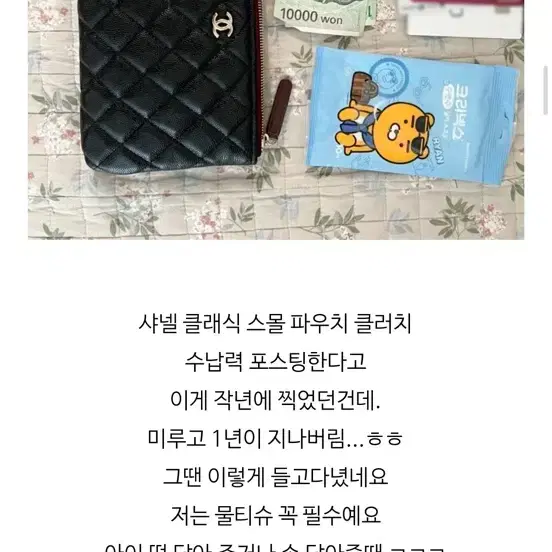 샤넬 small zipped case 민트