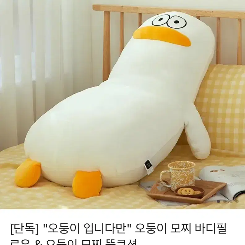 오둥이 바디필로우