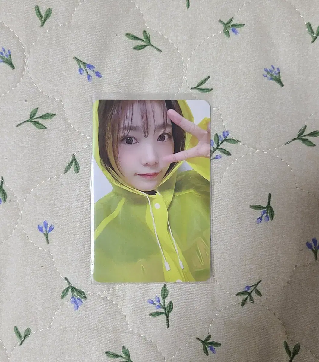 Buy qwer siyeon photocard (lowest price!!