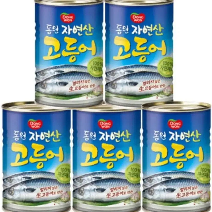 동원 고등어 300g 5캔