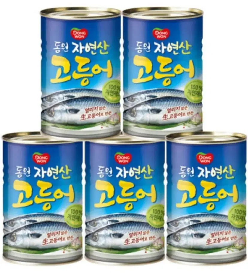 동원 고등어 300g 5캔