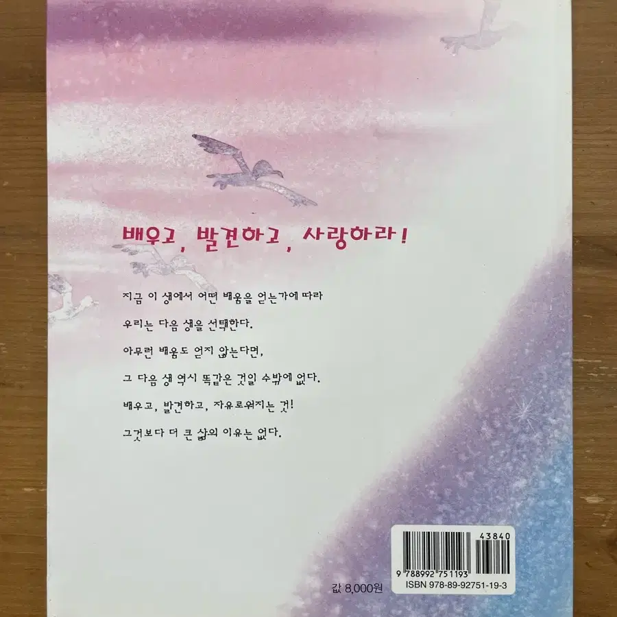 갈매기의 꿈 - 리처드 바크