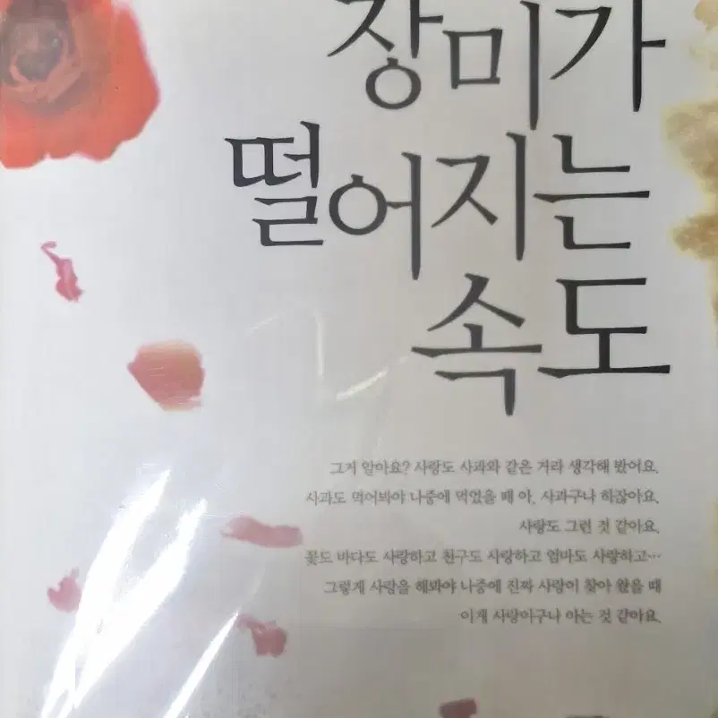 장미가 떨어지는 속도 / 류성희 장편소설