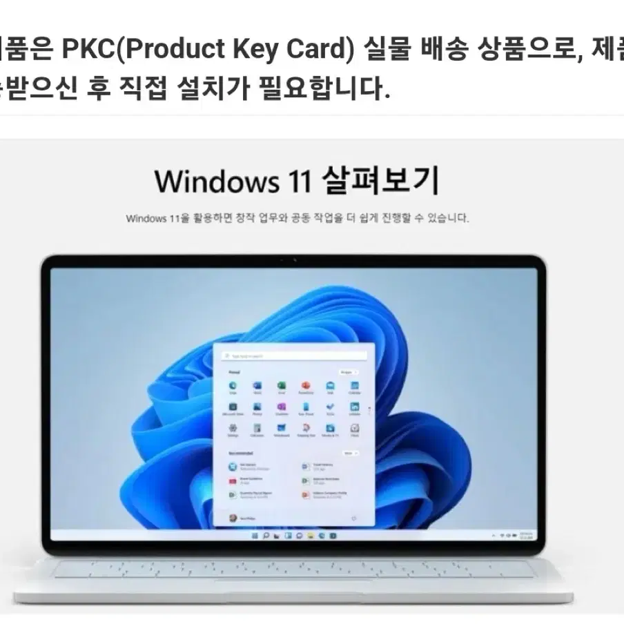 마이크로소프트 Window11 PRO 처음사용자용 FPP USB