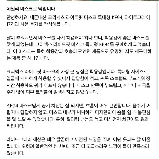 크리넥스 라이트핏 마스크 특대형 그레이