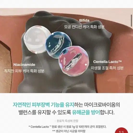 (새상품) 메디테라피 포쎄라 리얼 비피다 블러 톤업 크림 50ml