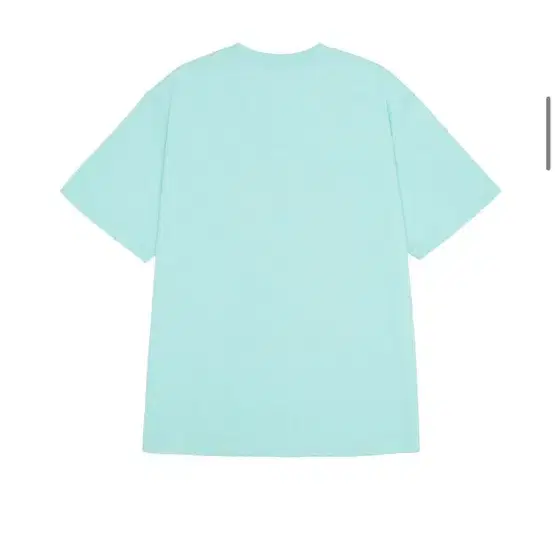 Summer is expensive Tee Mint