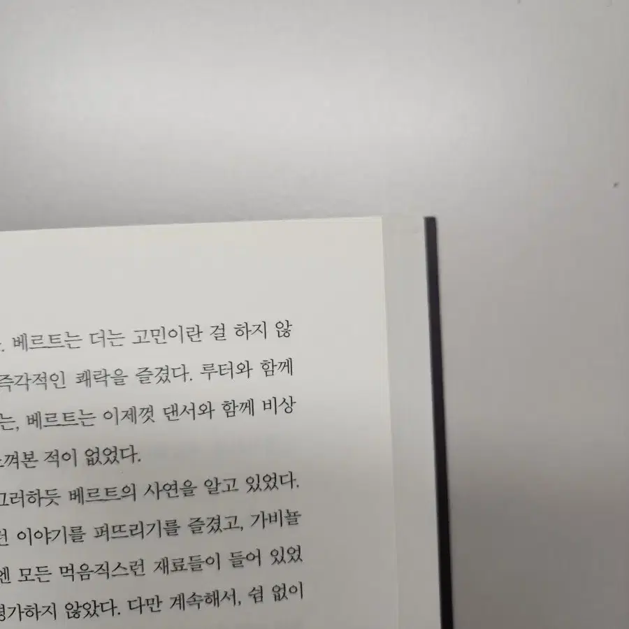 루거 총을 든 할머니 중고책