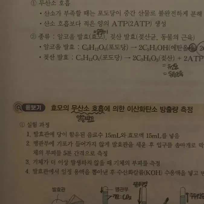 백호 생명과학1 개념믄제집 2025