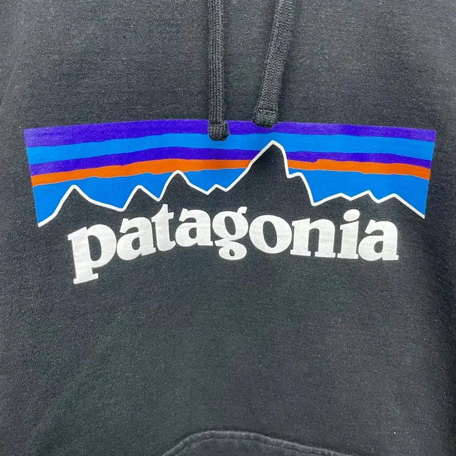 Patagonia 파타고니아 P-6 로고 프린팅 후드티 M