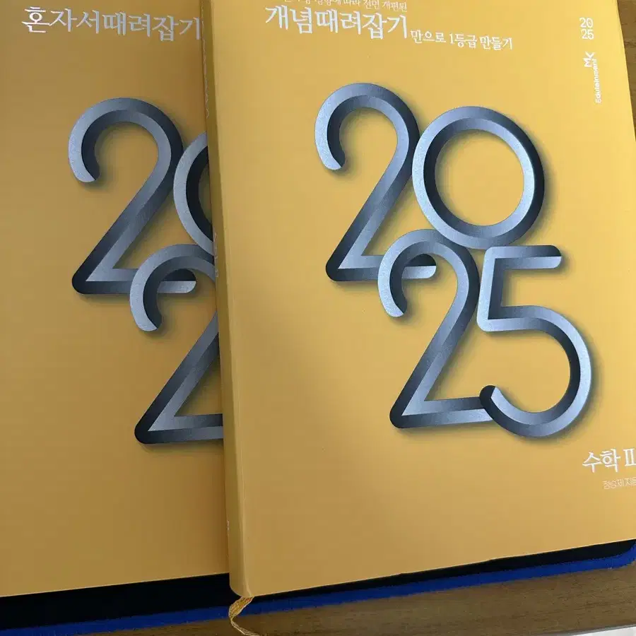 2025 정승제 개때잡 수2